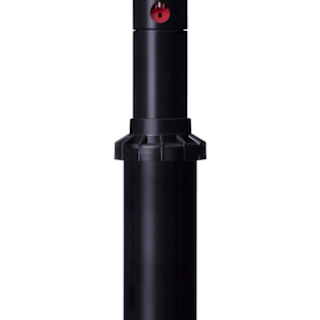 PGP-ADJ Pop-Up Professional